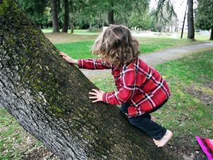 Child Climbing Tree